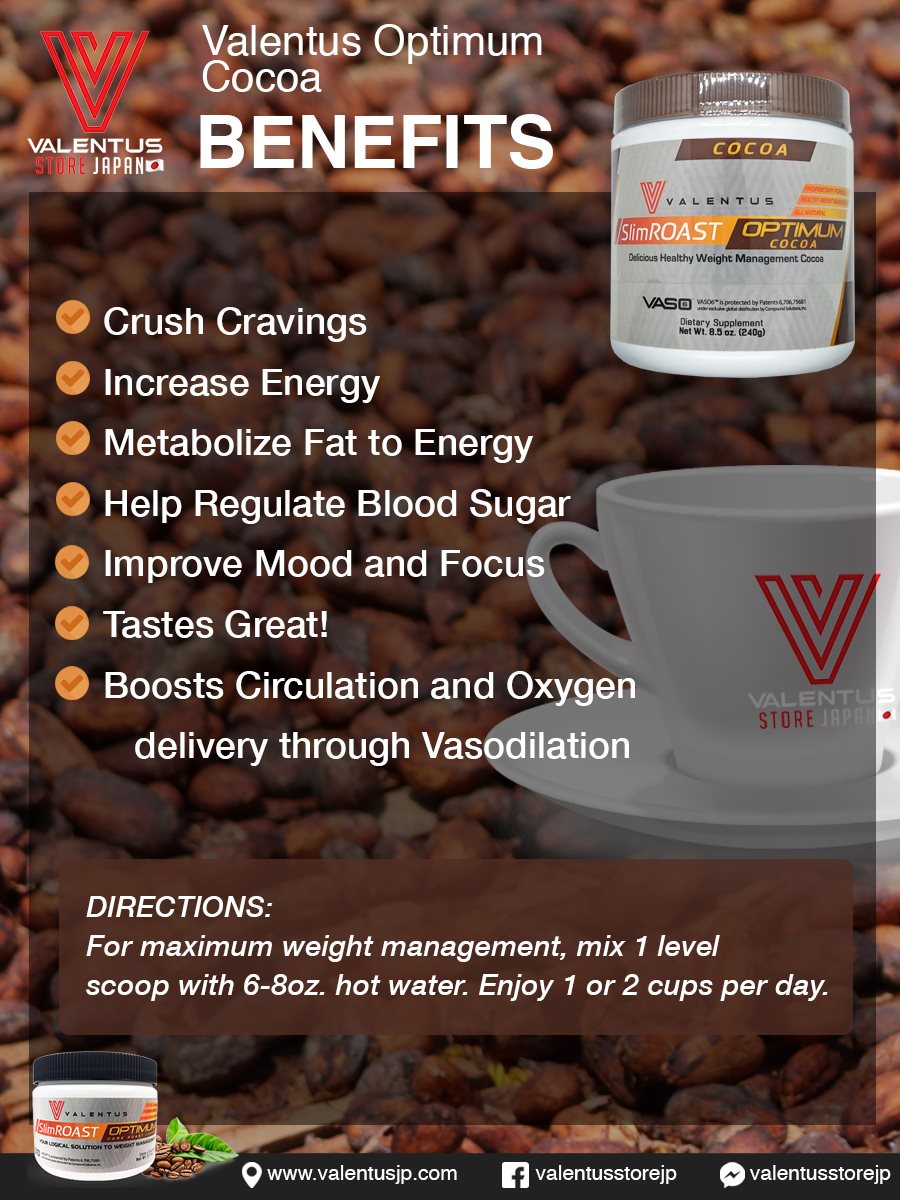 2個セット！Valentus SlimROAST Optimum コーヒー Other | Valentus