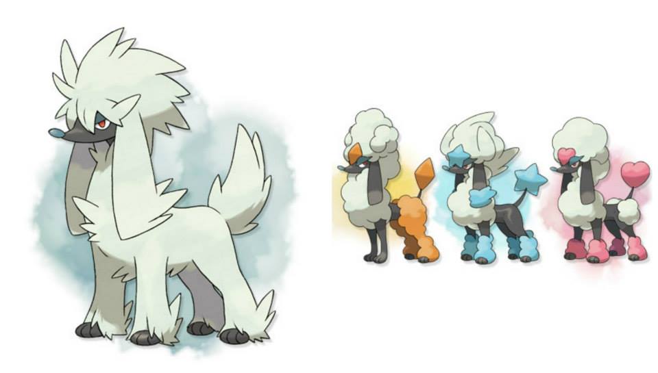 Pokémon Global News - Furfrou Type: Normal Ability: Fur Coat The ...