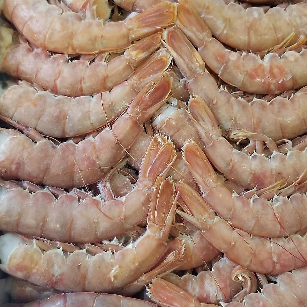 krevetka.fish.zp added a new photo — at... - krevetka.fish.zp
