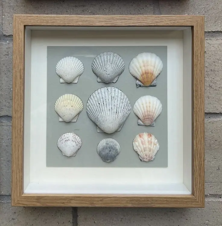 Shells & Shadow Boxes: Coastal Crafting at Wequassett