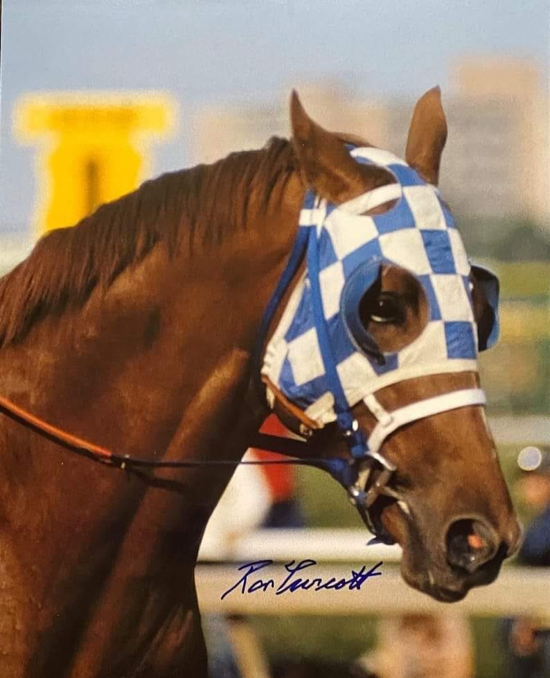 SECRETARIAT 1A🇺🇸 ️ THE RED... - American horseracing Legends | Facebook
