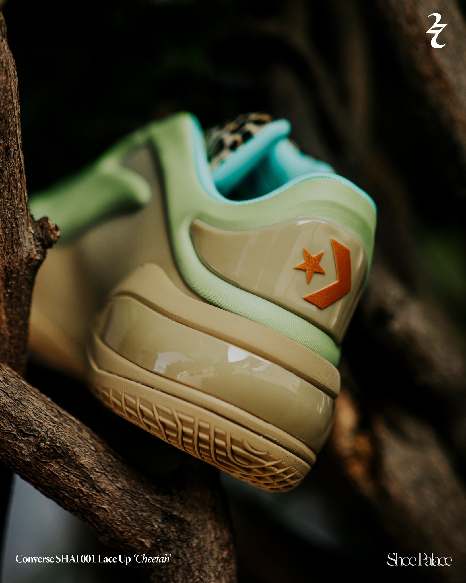 shai001 シューズ(男性用) CONVERSE
