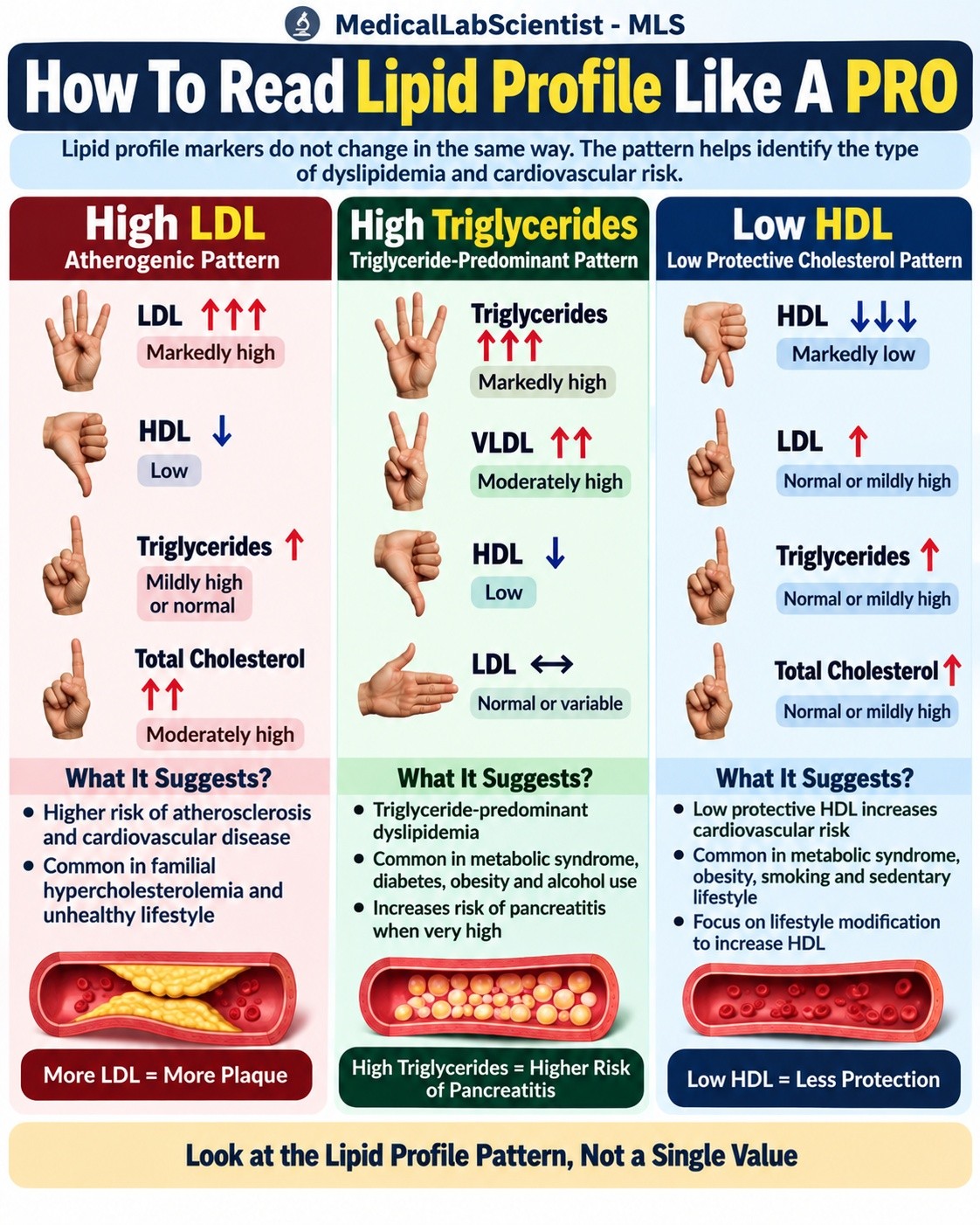 How To Read Lipid Profile Like A PRO A lipid profile gives you more information than a single cholesterol number. Look at LDL, HDL, triglycerides, VLDL, and total cholesterol together to recognize