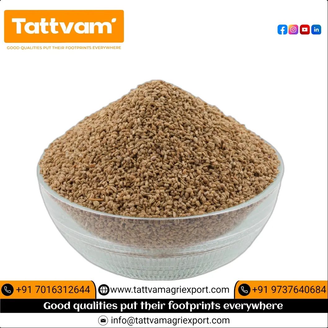 Tattvam Agri Export | Visnagar