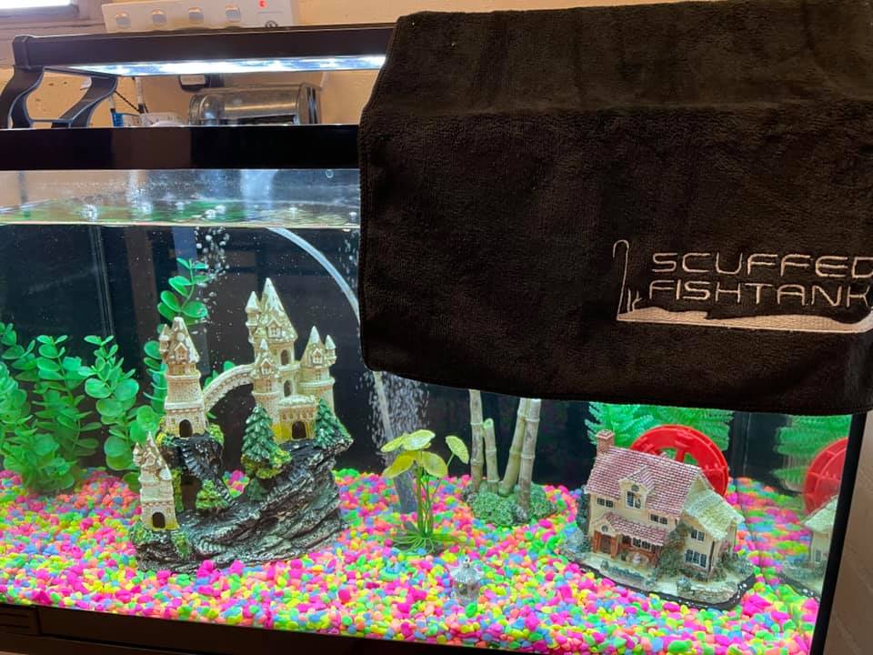Scuffed Fishtank | Melbourne VIC
