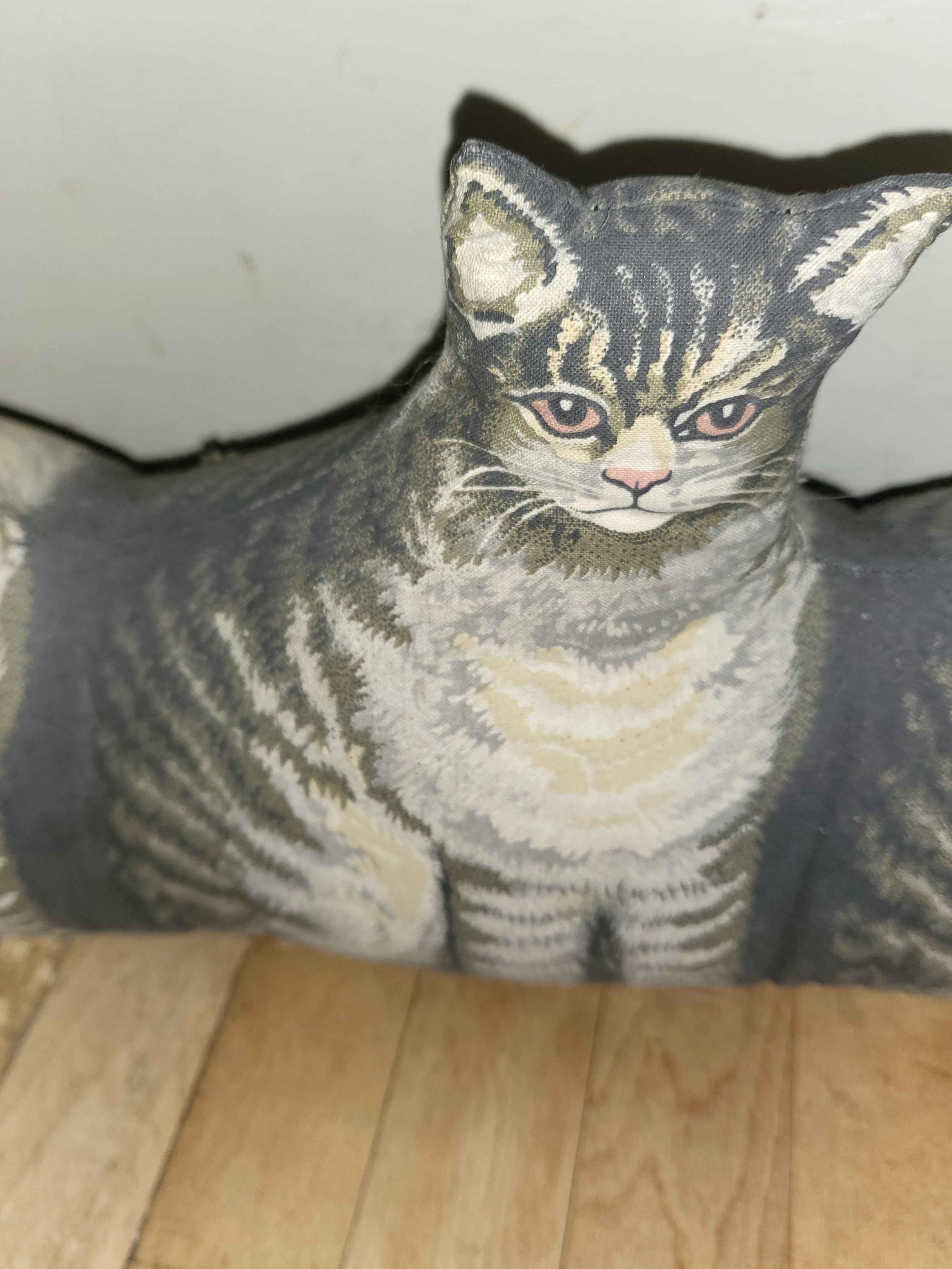 Cute Tabby Cat Draft Stopper for Door - Decorative Accents - Green Bay ...