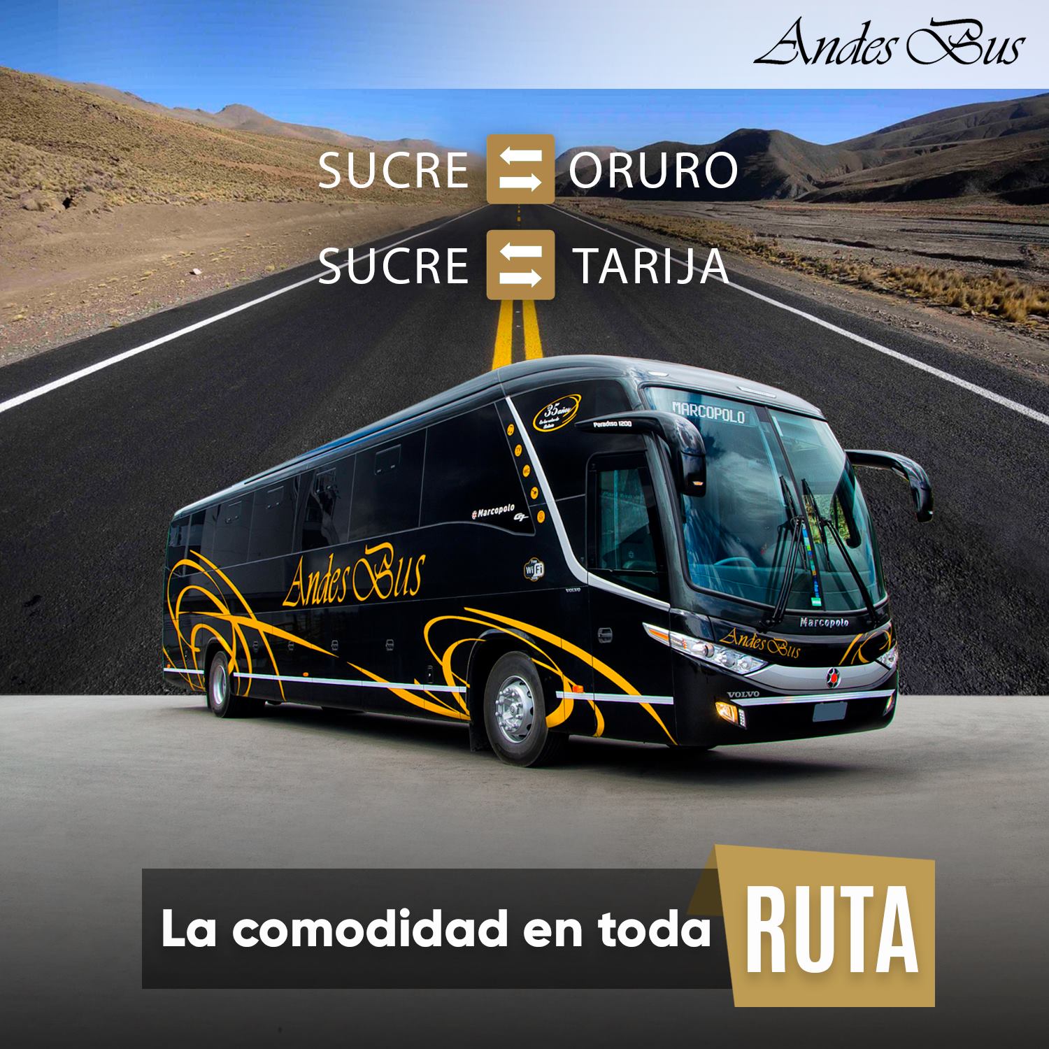 ANDES BUS - Viaja completamente cómodo en nuestros...