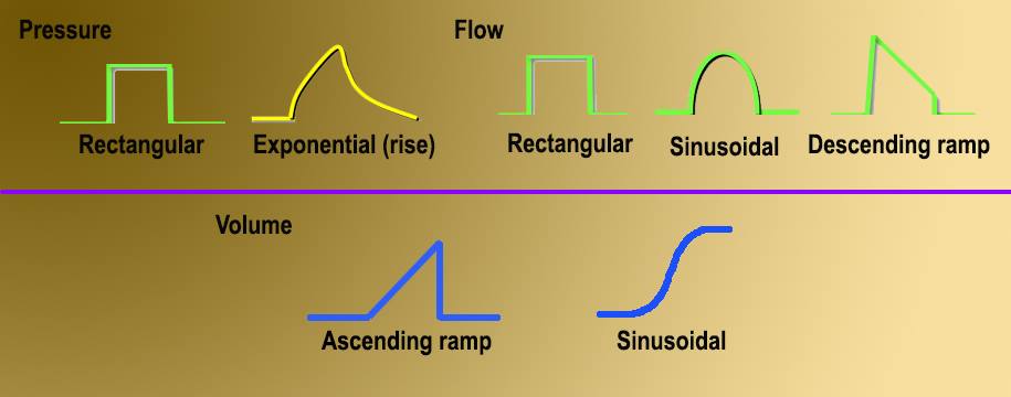 ICU nurse - บนซ้ายเป็น Pressure waveform มีทั้งแบบสี่เหลี่ยม ...