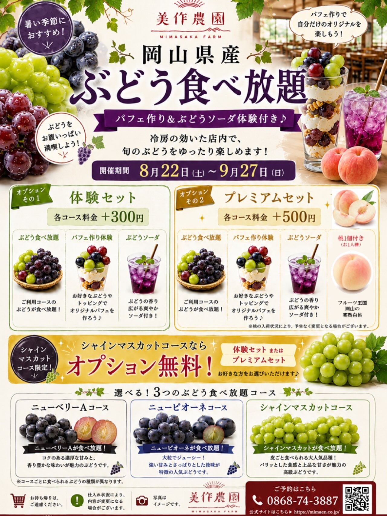 活動歴および当時の関連ビジュアル記録