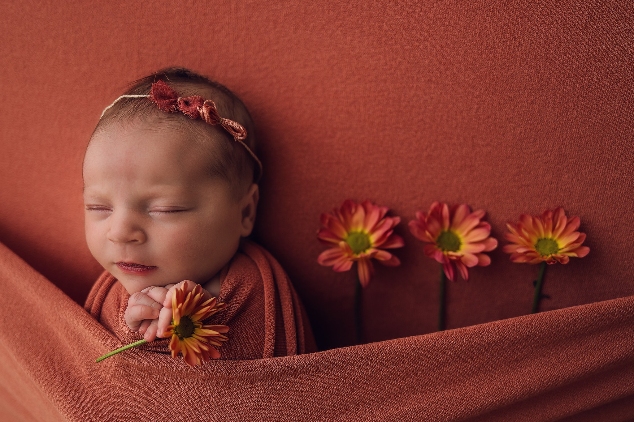 Hint of Whimsy Photography... - Hint of Whimsy Photography