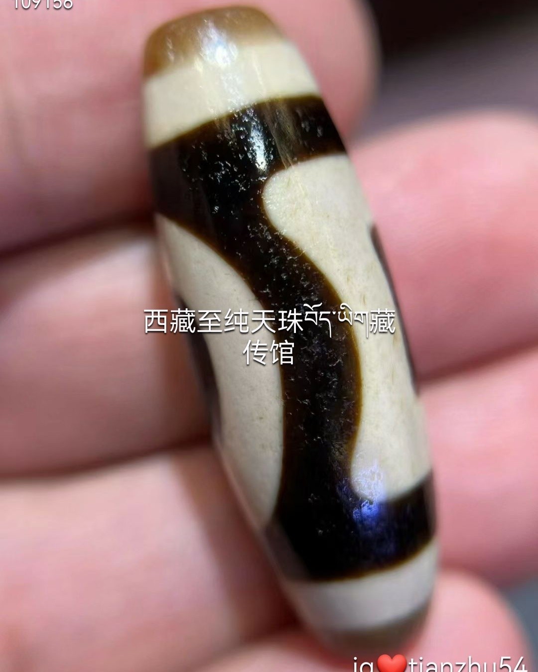 这颗黑朱砂十二眼老天珠，高53*直径13mm 十二眼天珠十二眼表药师经里十