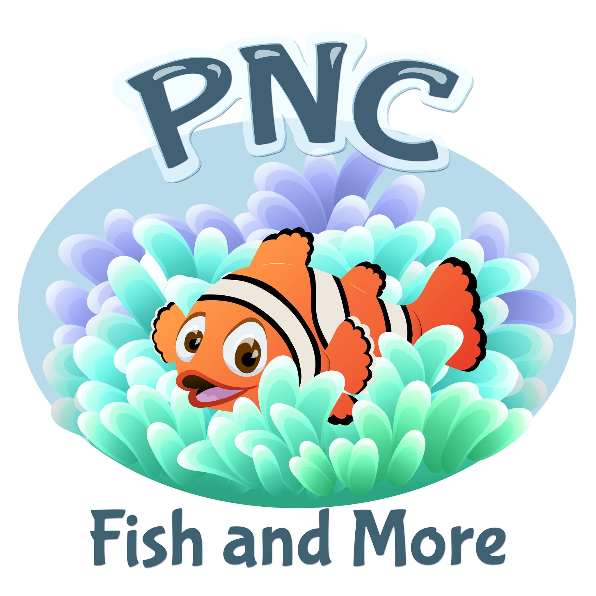 This Spotcinctus clownfish has been swimming peacefully with the ...