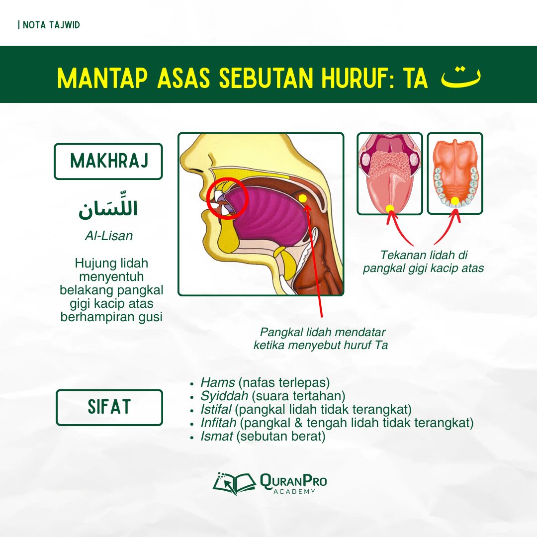 Nota tajwid: mantap asas huruf Ta ت... - Quran Pro Academy | Facebook