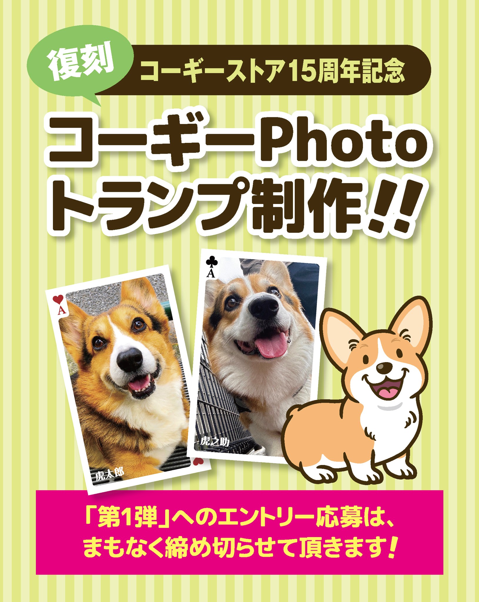 Corgi Store／コーギーストア［コーギーグッズ専門ストア