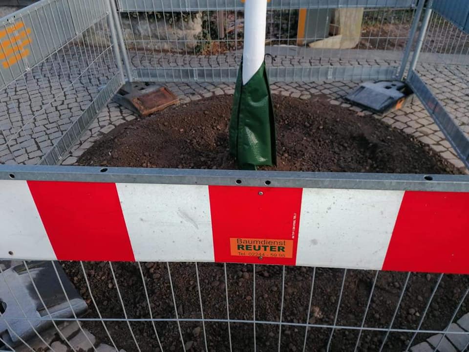 Baumdienst Reuter Edewecht – Reuter Baumdienst Eschhorn – RLMPRU