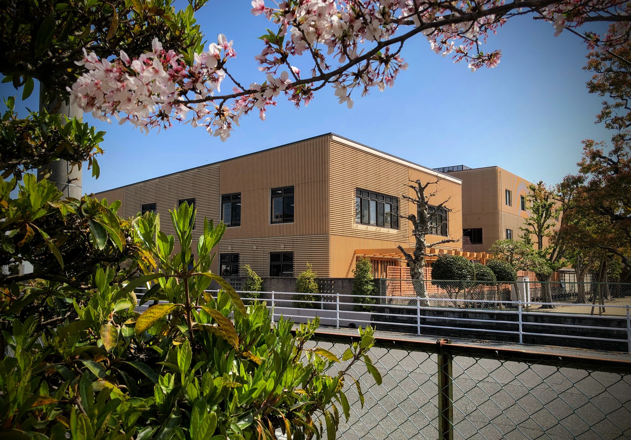 吉備 国際 大学