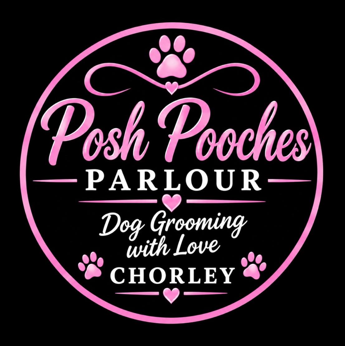 Cockapoo looking for adoption! 5... - Posh Pooches Parlour | Facebook