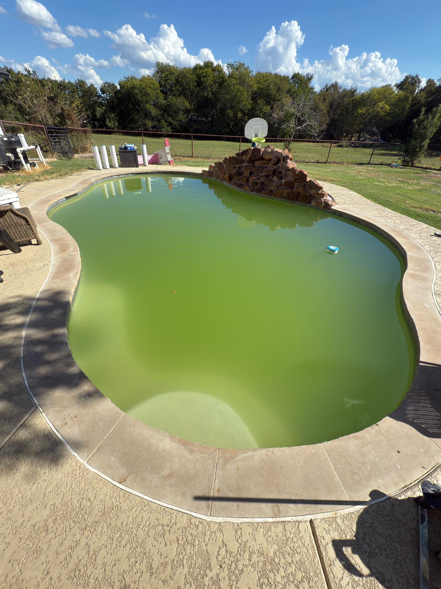 Texas - From green to almost clean 💪🌊 — This pool was struggling with ...