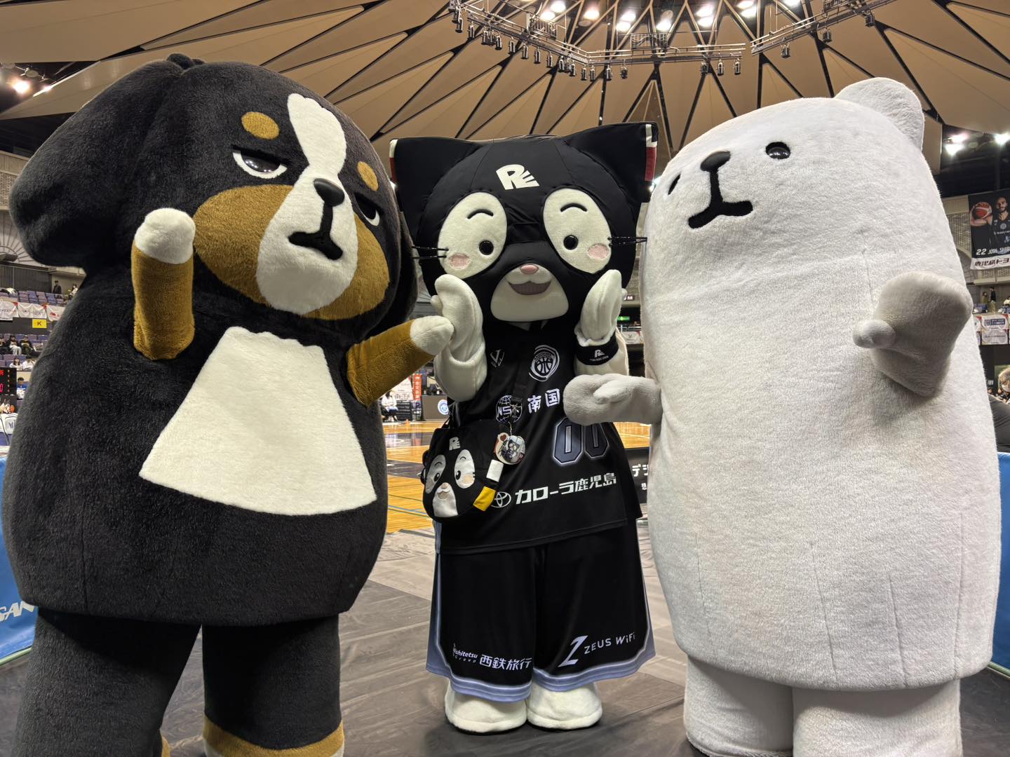 本日の冠スポンサー #鹿児島銀行 様のイメージキャラクター #しろどん