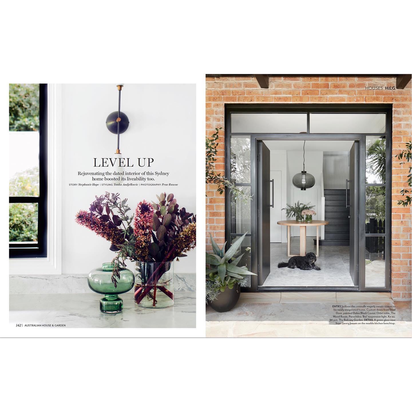 Tonka Andjelkovic Design | Bondi Junction NSW