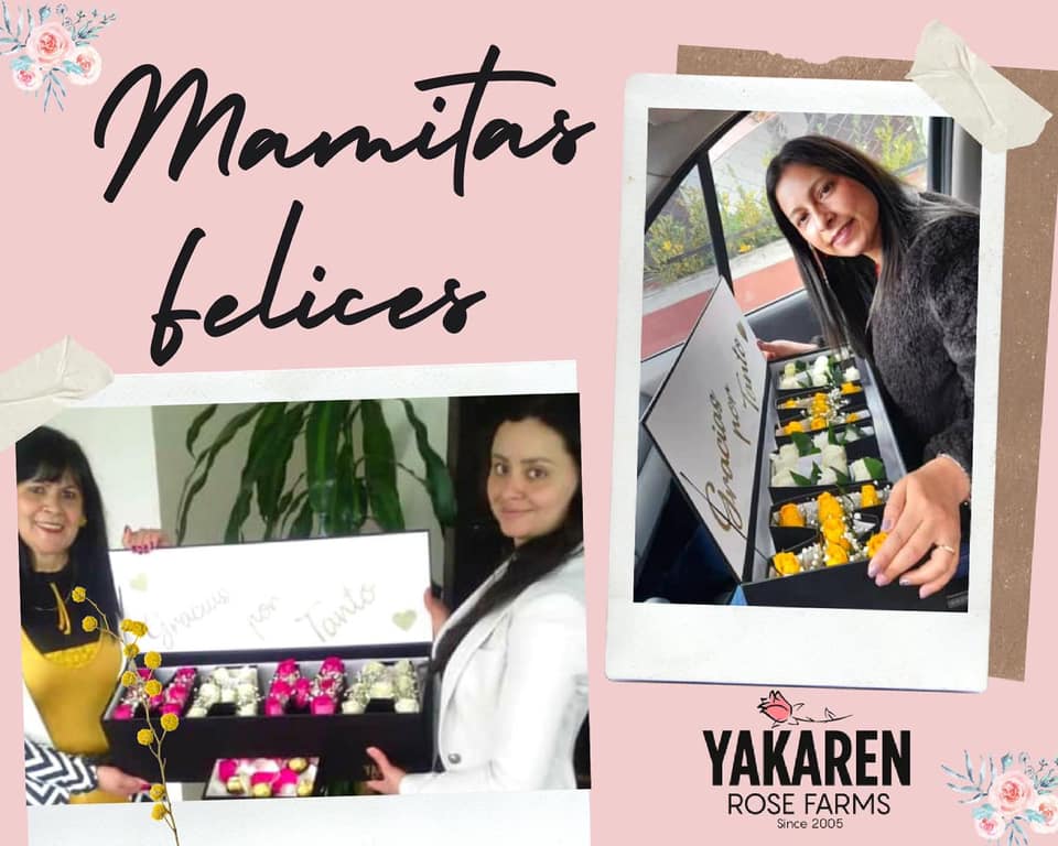 Yakaren Rose Farms | Zipaquirá