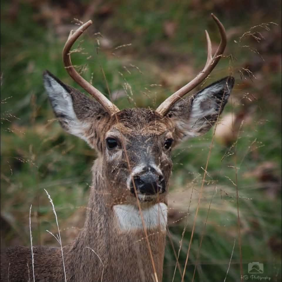 The rain has stopped and it’s the perfect fall weekend activity! # ...