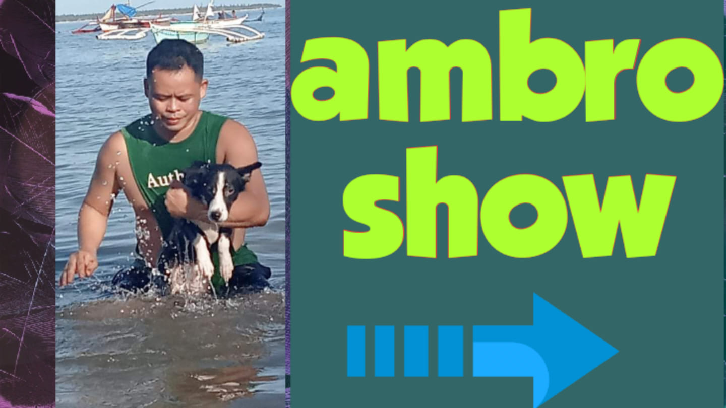 Ambro show