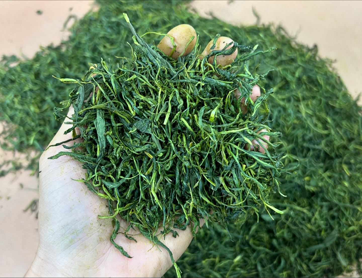 京都おぶぶ茶苑 - 抹茶5品種飲み比べ。5品種の抹茶5品種の抹茶『おくみどり』『ごこう』『さみどり』『うじひかり』『めいりょく』を1.5gづつ ...