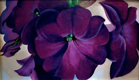Georgia O'Keeffe's Petunia No. 2 painting inspiration