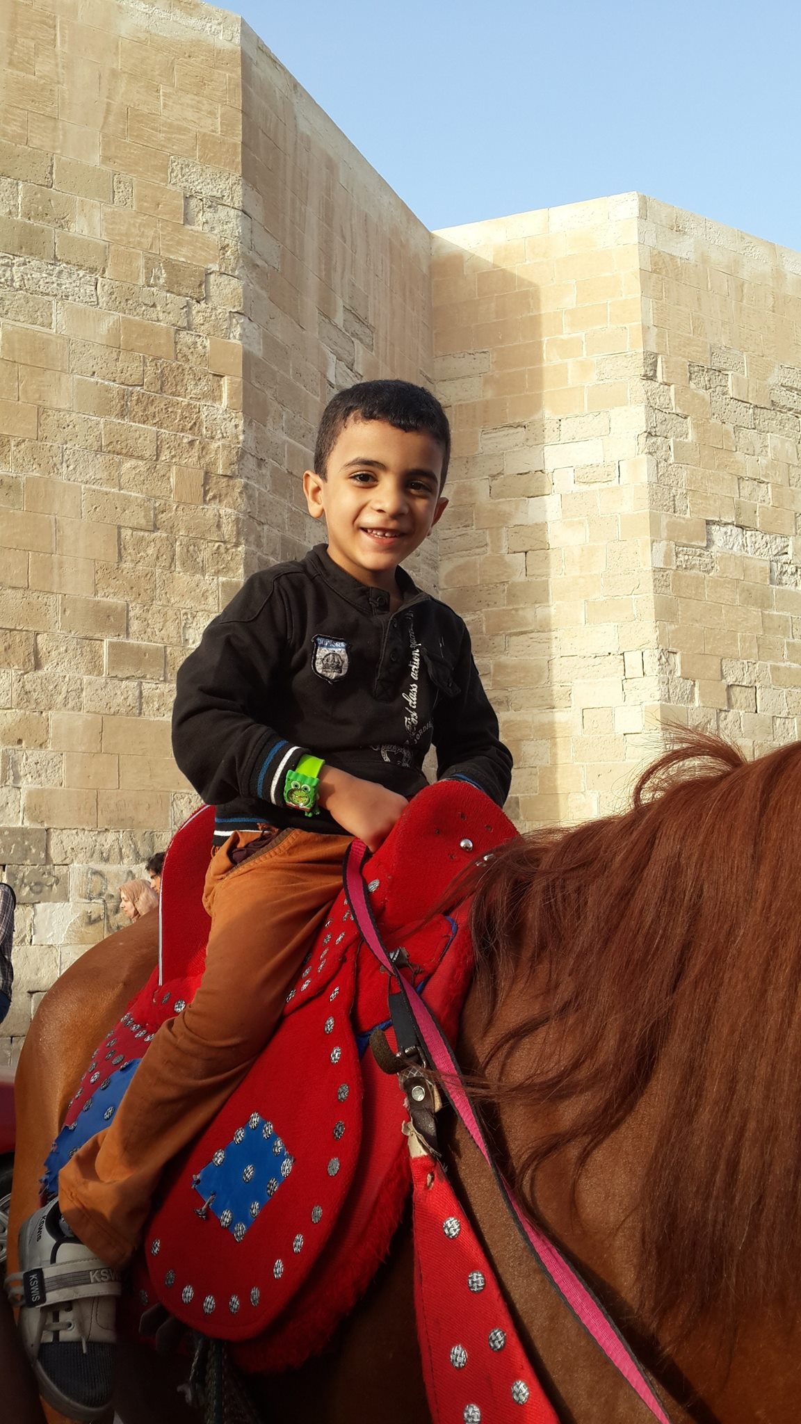 Medhat Darwesh