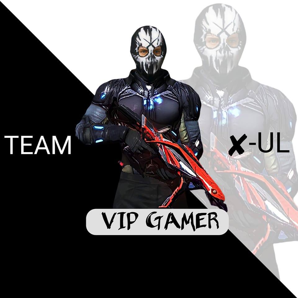 Team Vip Esports