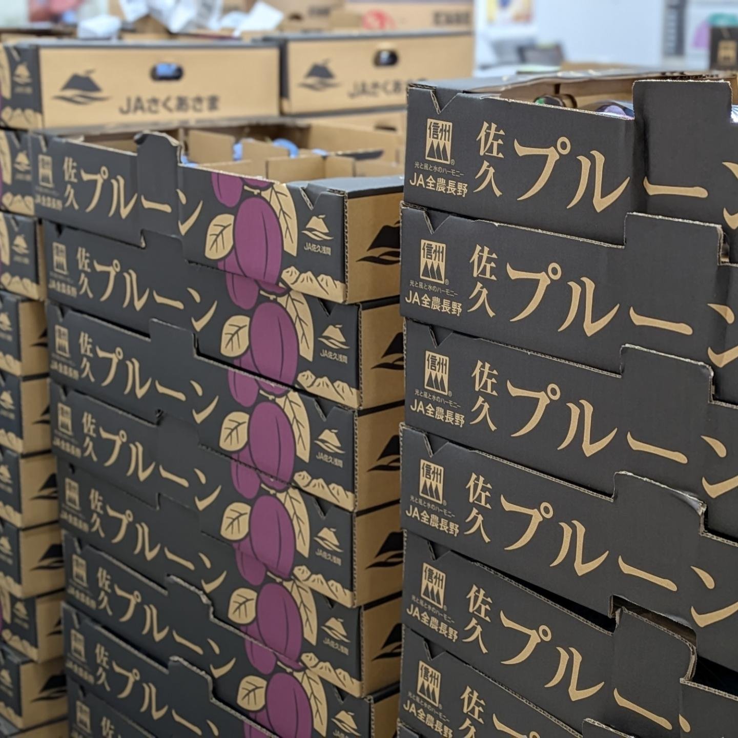 長野県　道の駅記念指定券全31種フルコンプリート&コンプリートカードのセット ✨ 📢【本日発売開始📢】 🚗🌿長野県内の「道の駅」を巡る旅がもっと