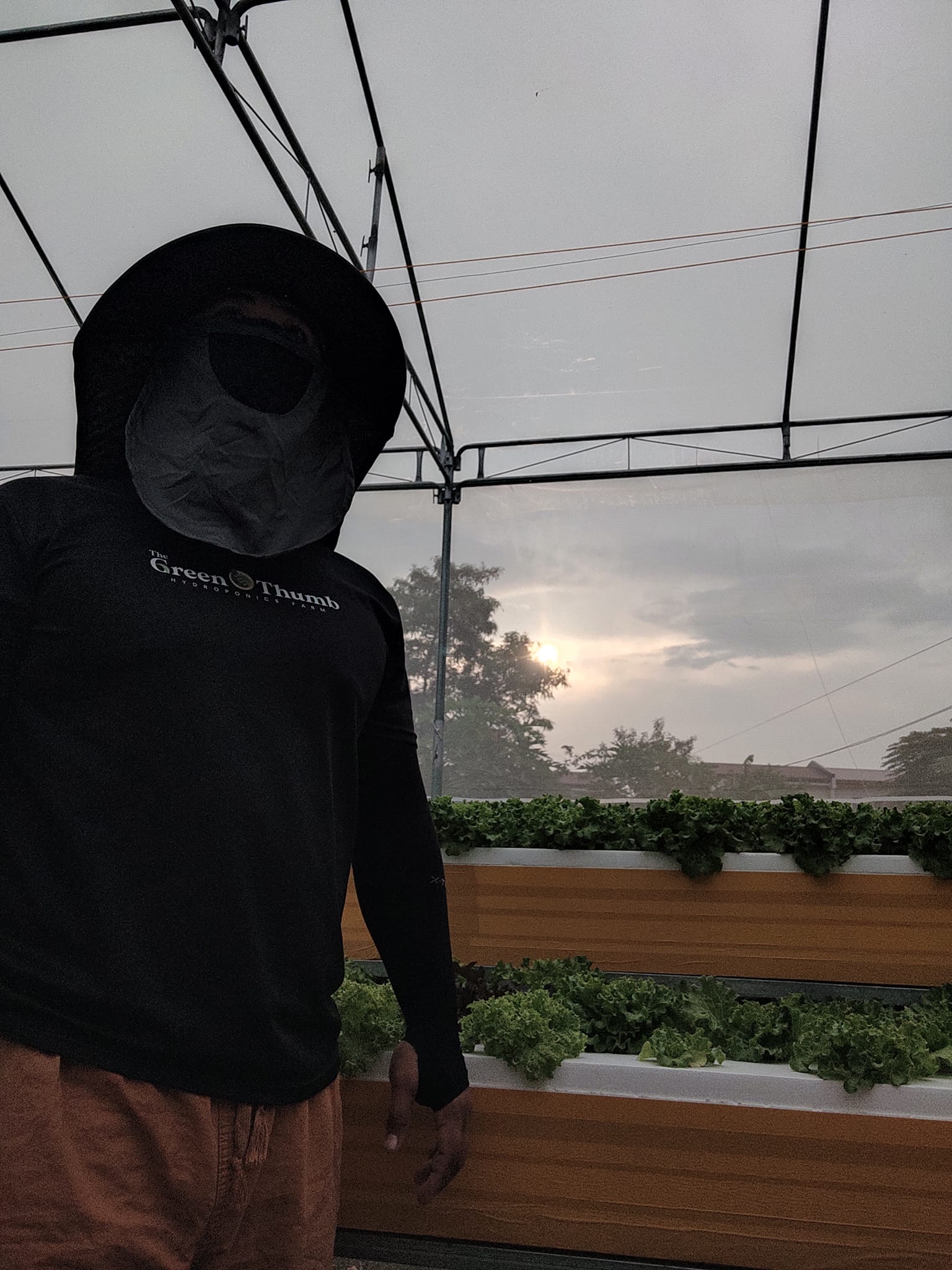 The Green Thumb Hydroponics Farm | Imus