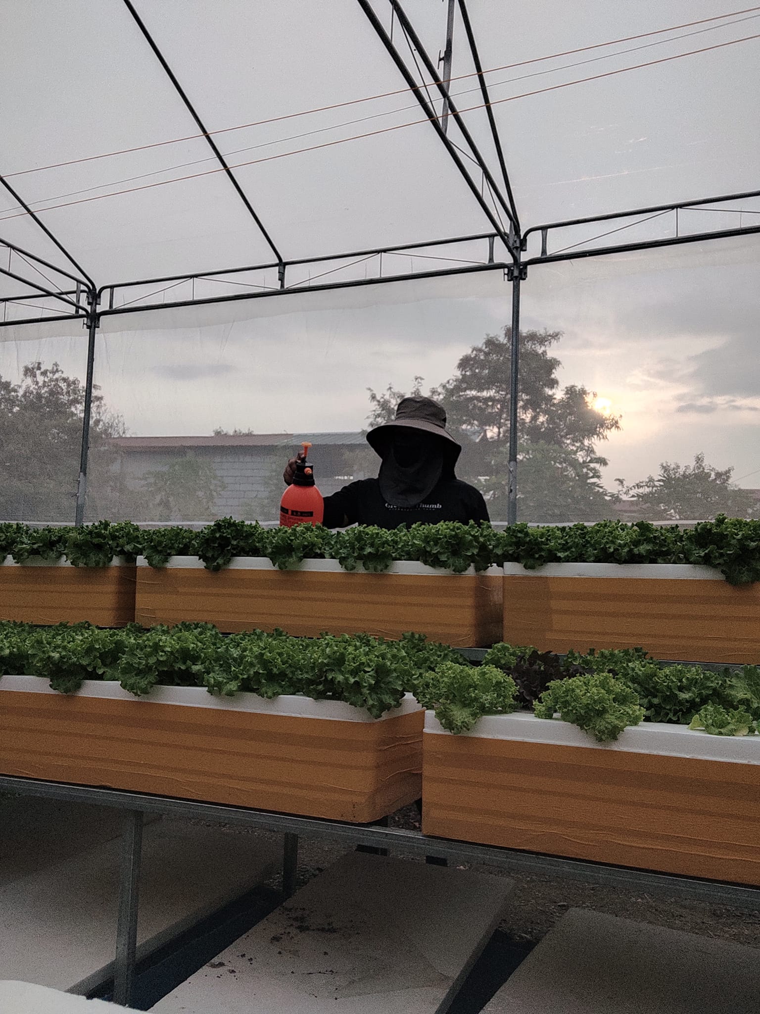 The Green Thumb Hydroponics Farm | Imus