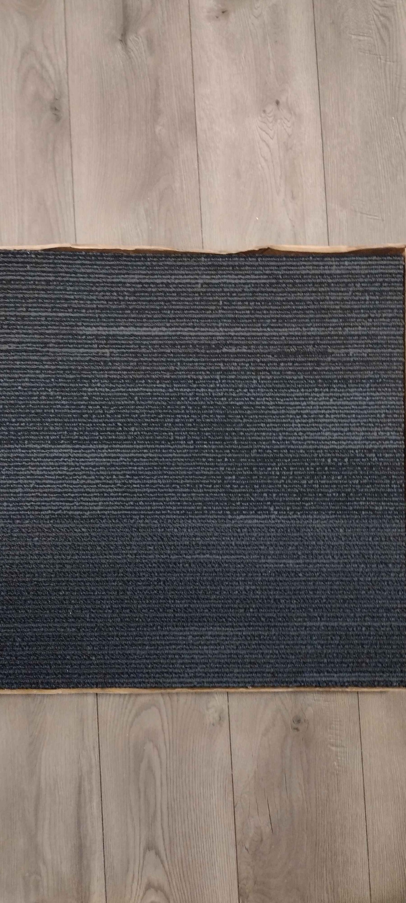 24x24 carpet tiles - Area Rugs - Warren, Michigan | Facebook ...
