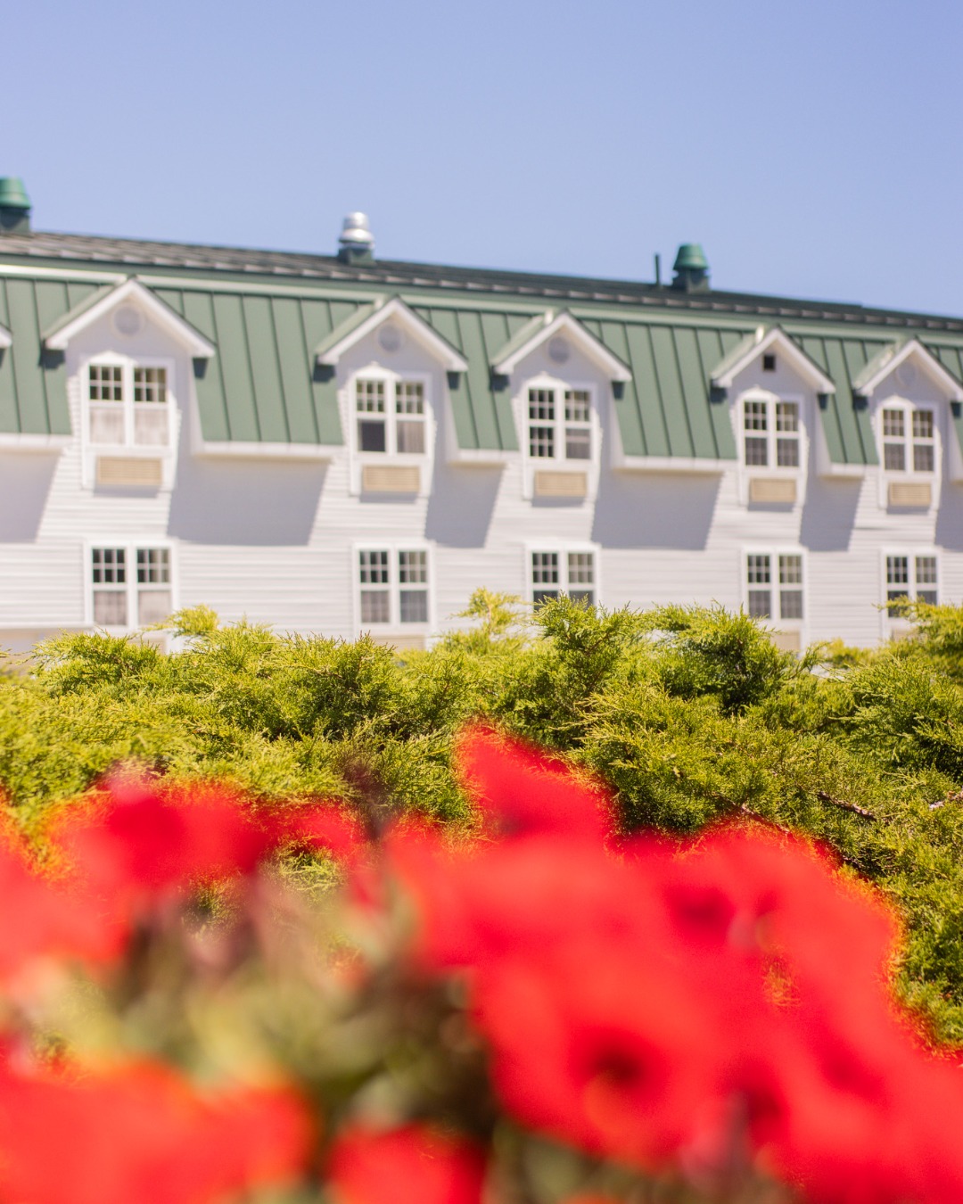 Acadia - Spring is only 24 days away! Before you know it, Bar Harbor ...
