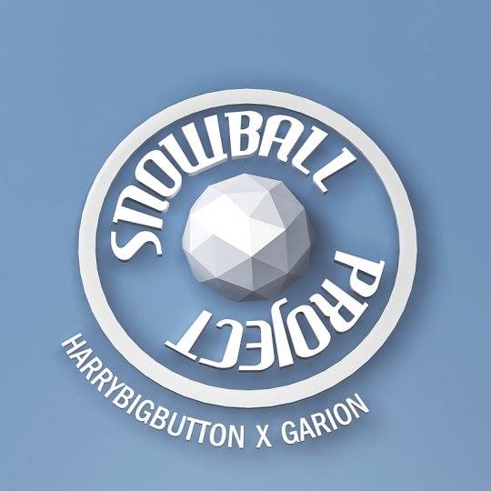 Snowball Project