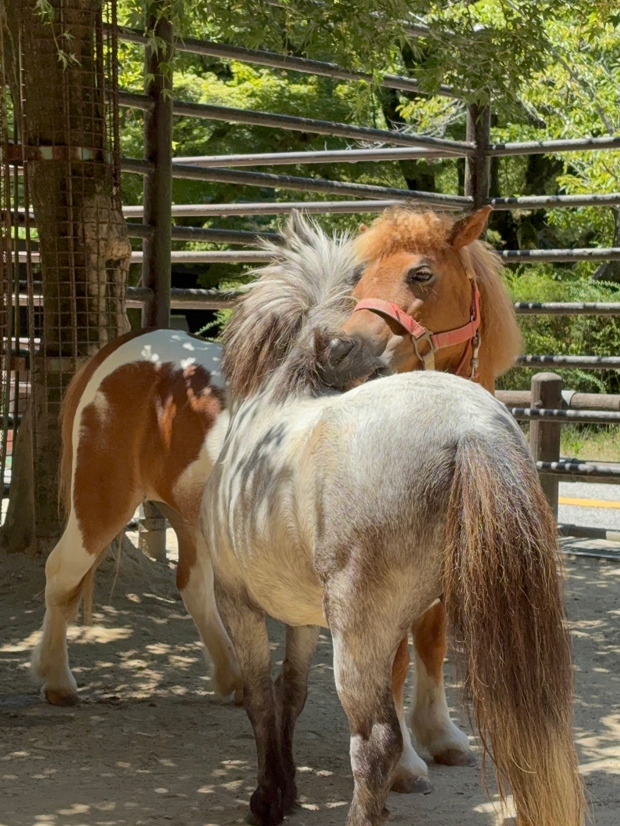 岡崎 市東 公園 動物園