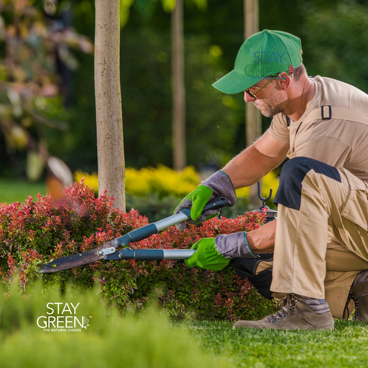 Pacific Green Landscape Maintenance