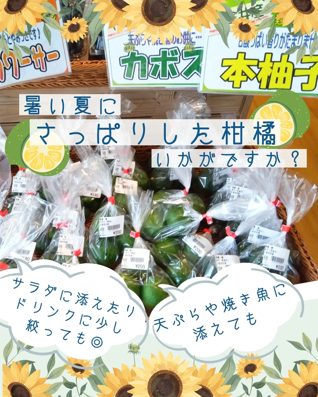 武蔵野 大学 マスカット