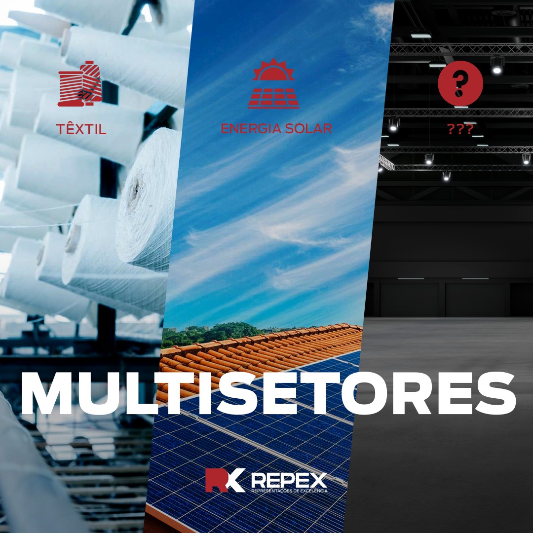 Grupo Repex - A Repex atua no mercado como uma...