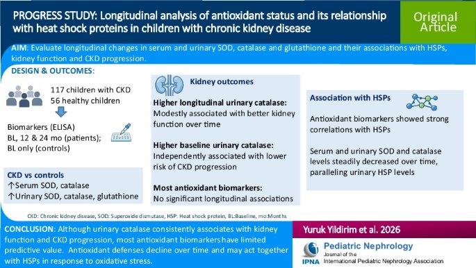 glutathione ckd Boost Kidney Health with Glutathione: Exploring Selenium, Oxidative Stress, and Ferroptosis — InKidney Your kidney cells have a