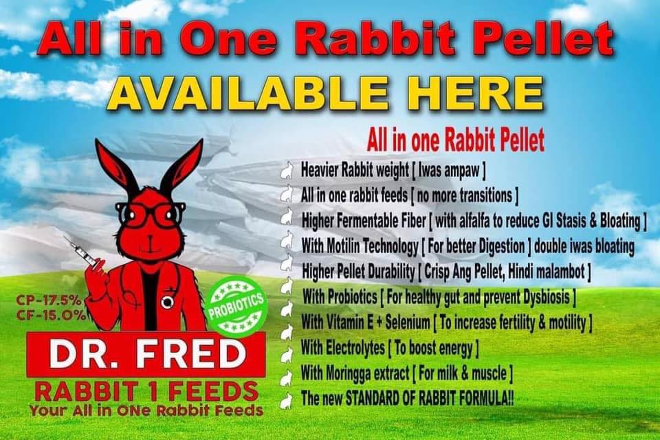 DR. FRED Rabbit Feeds North Luzon