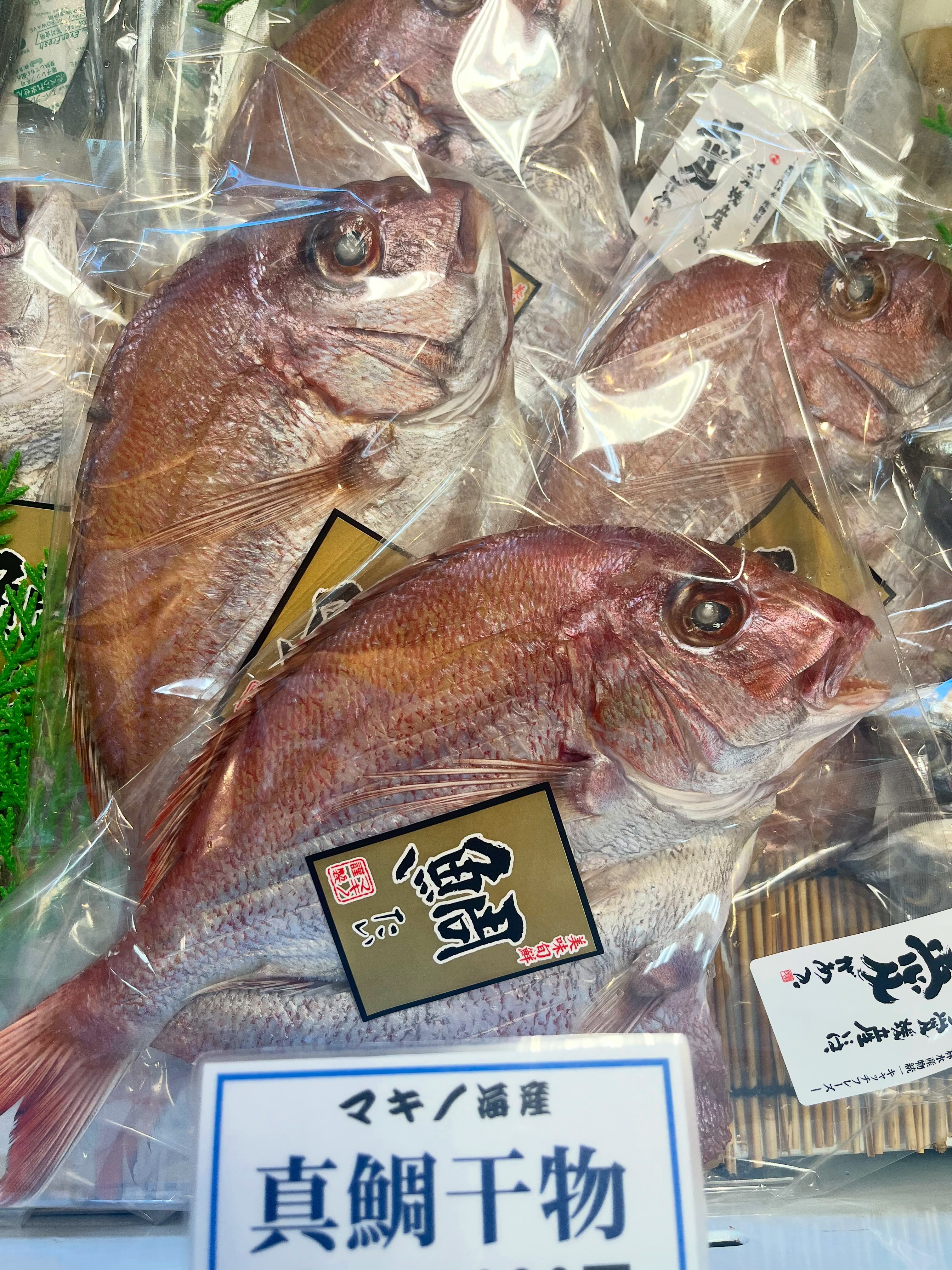 張子ヤドン入荷のお知らせ📣】 大変お待たせしましたが、2階の工芸品