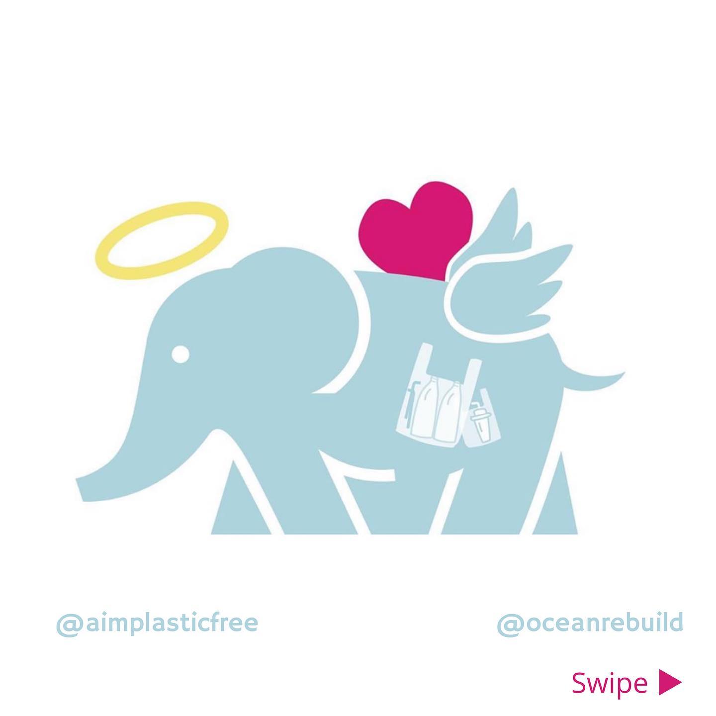 Ocean Rebuild - RIP. 🐘 💔 Sad and mad that an elephant was... | Facebook