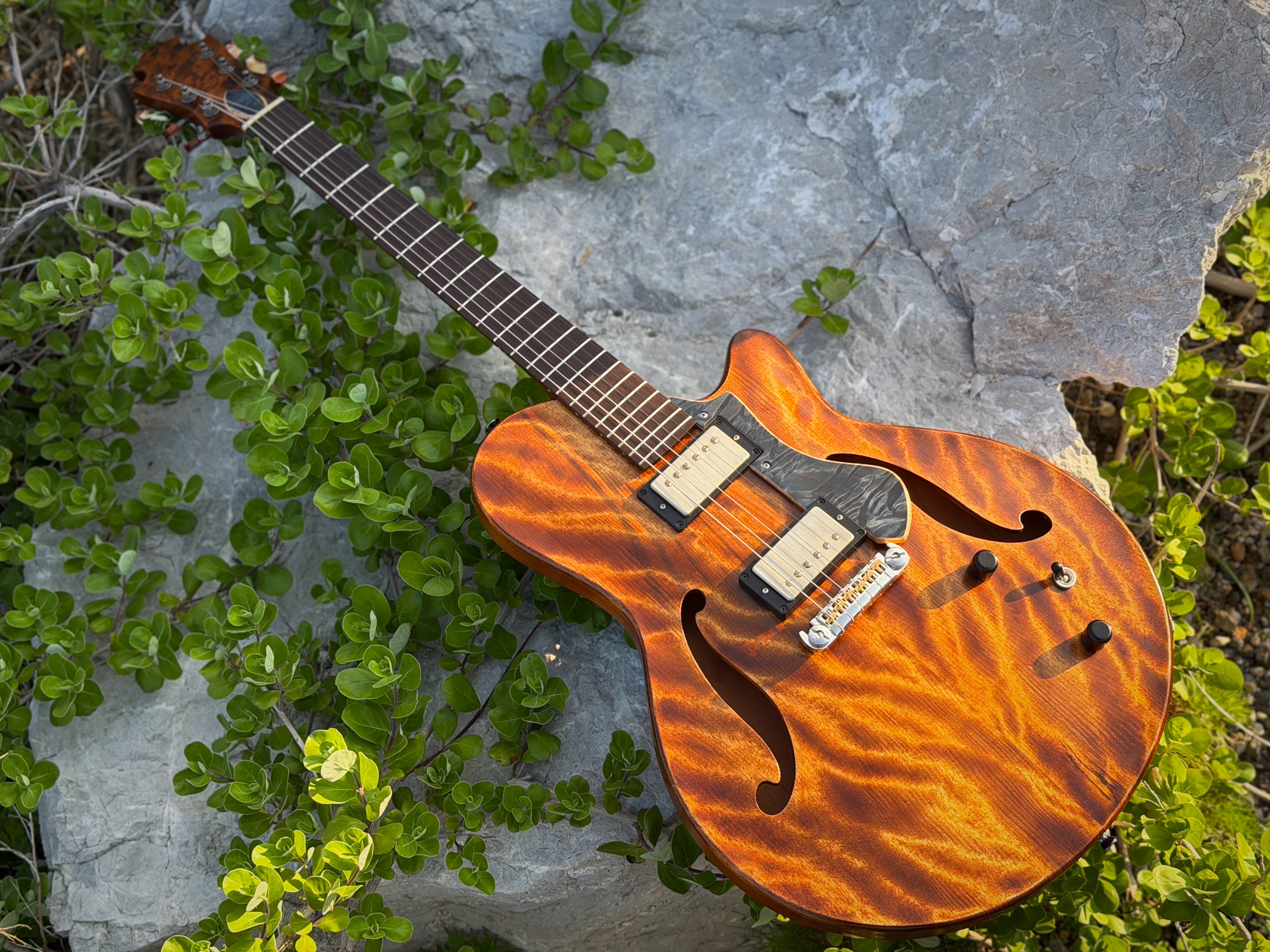 Nishgaki Guitars