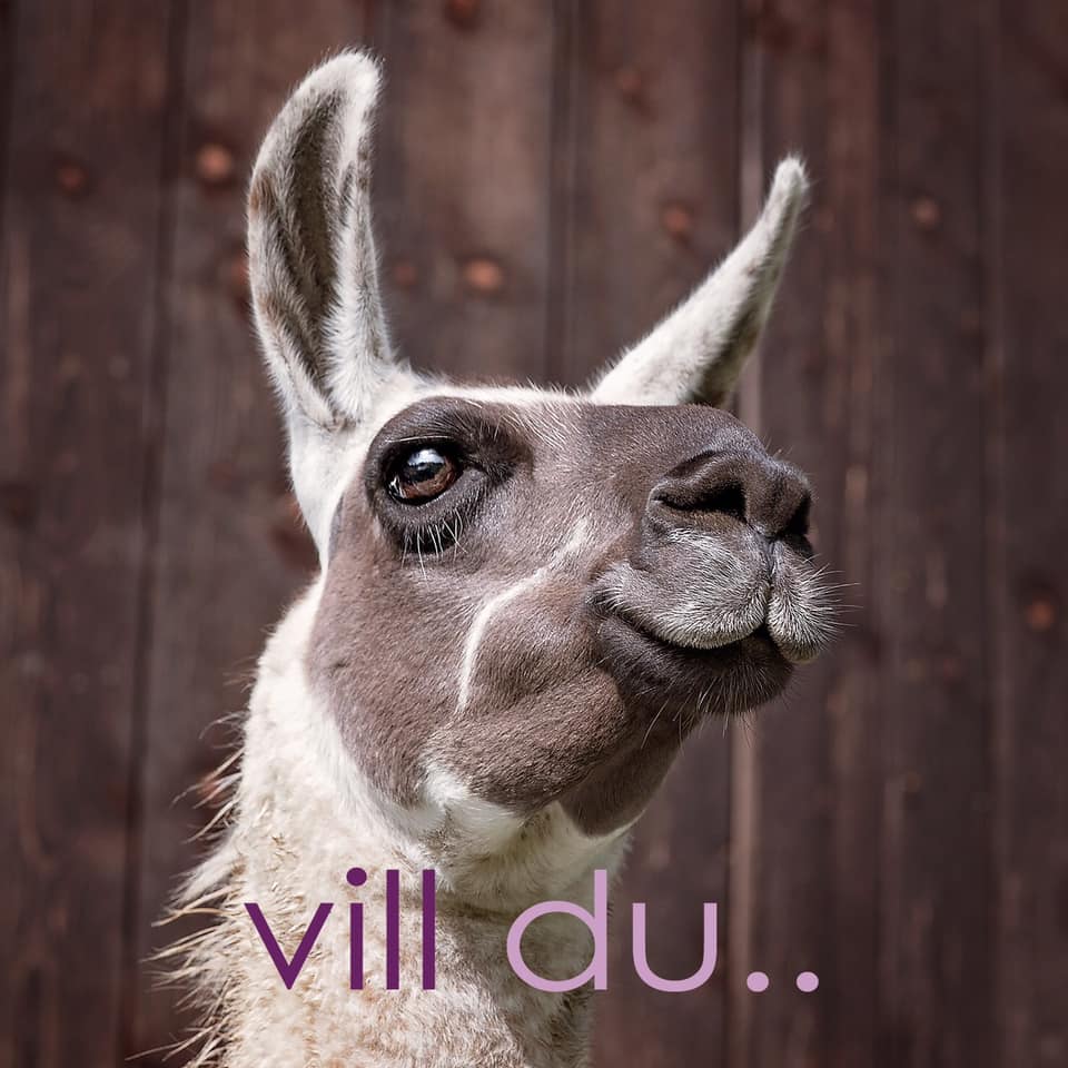 LiVA - Linköping Vegan Association | Linköping