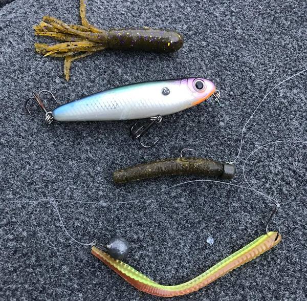 colorado arnie's fishing lures Llungen #8 Spinnerbait Arm – Team Rhino Outdoors LLC Shimano Z-1 fishing reel Color:Black and Green Increase your chances of ShopB2B