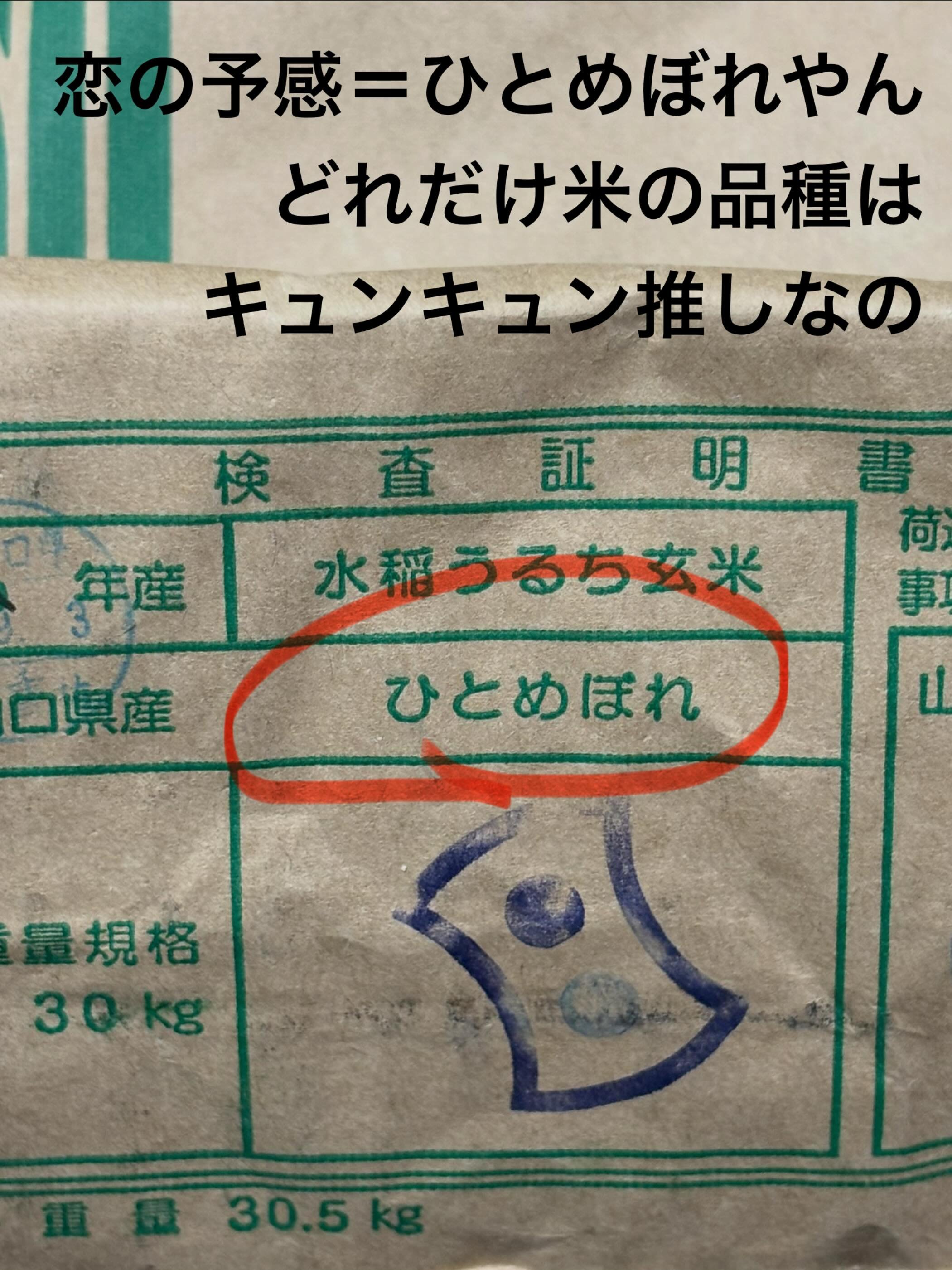 株式会社 KOME JAPAN | Kitakyushu-shi Fukuoka
