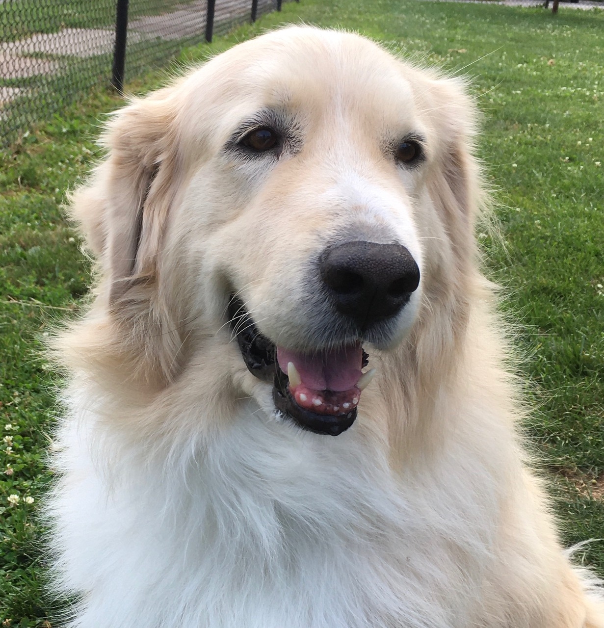 You never know who might stop by QCAC!! | Quad Cities Animal Chiropractic